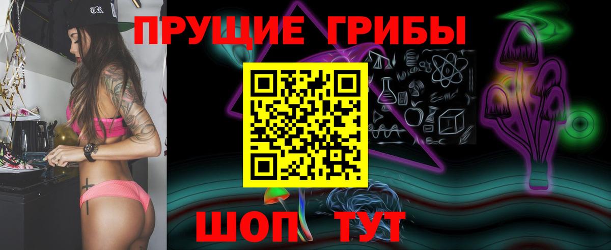 Галлюциногенные грибы Psilocybe  Вход с VPN  Знаменск 
