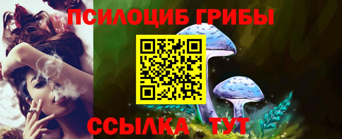 Псилоцибиновые грибы Cubensis Знаменск